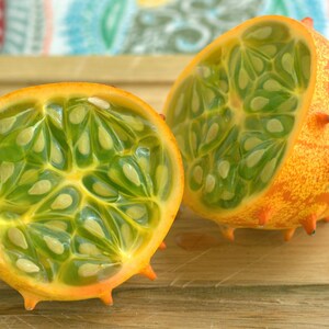 Horned Melon Kiwano Cucumis metuliferus 20 Seeds USA Company image 2