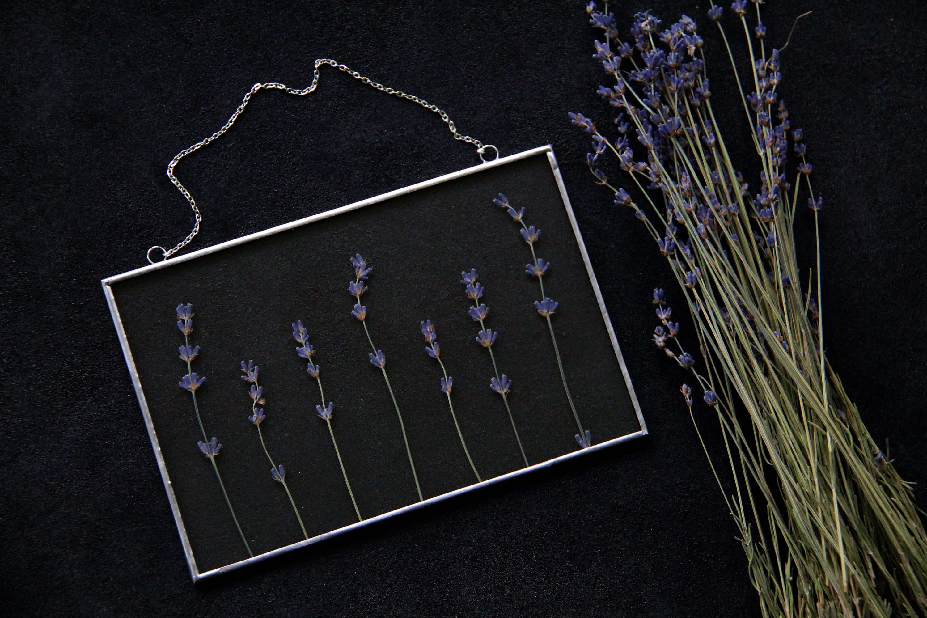 Pressed Lavender Flower Frame / Dried Flower Frame / Dry Etsy