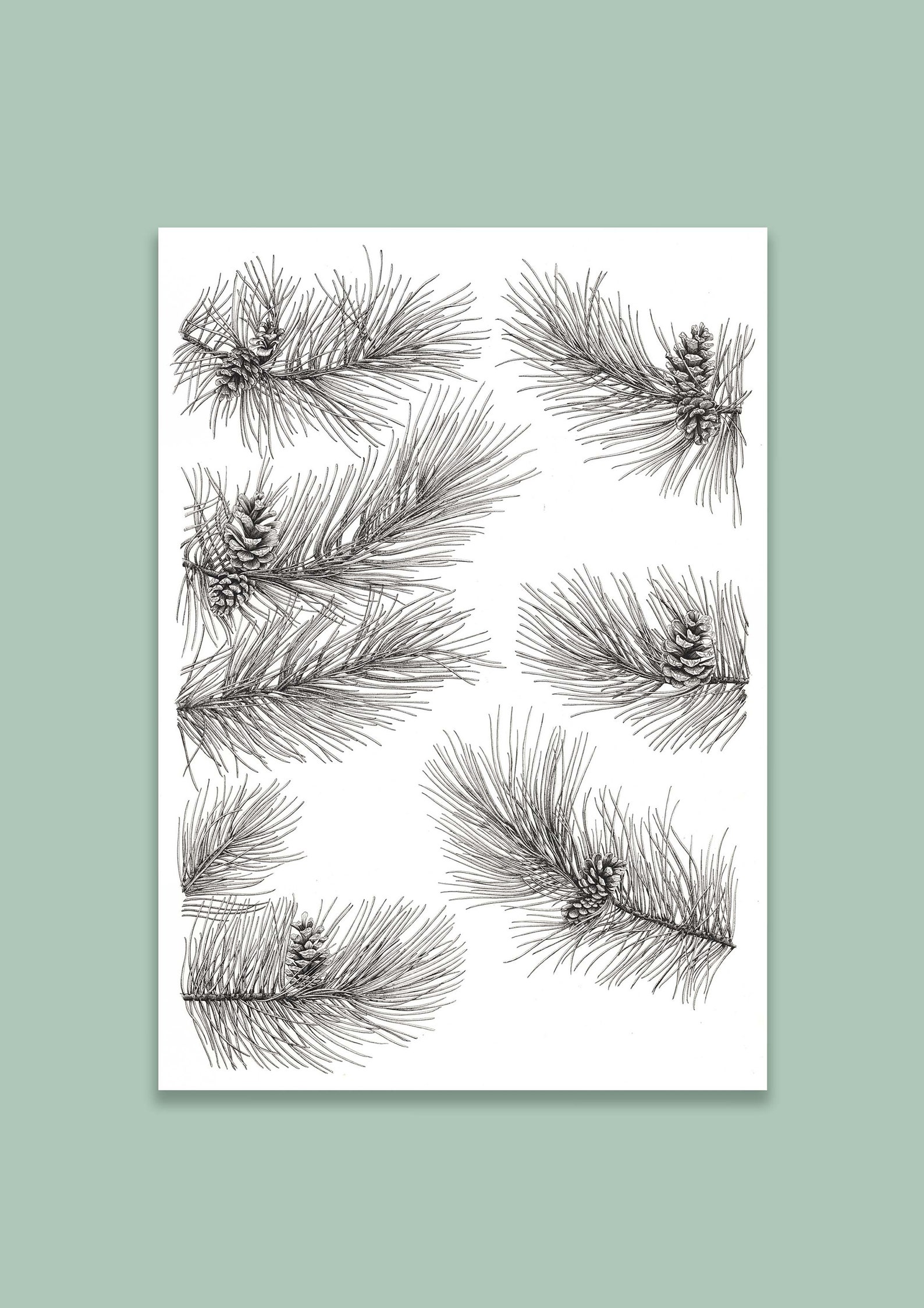 Fir Tree Drawing - Etsy