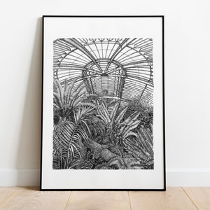 Kew Gardens Drawing - The Palm House A3