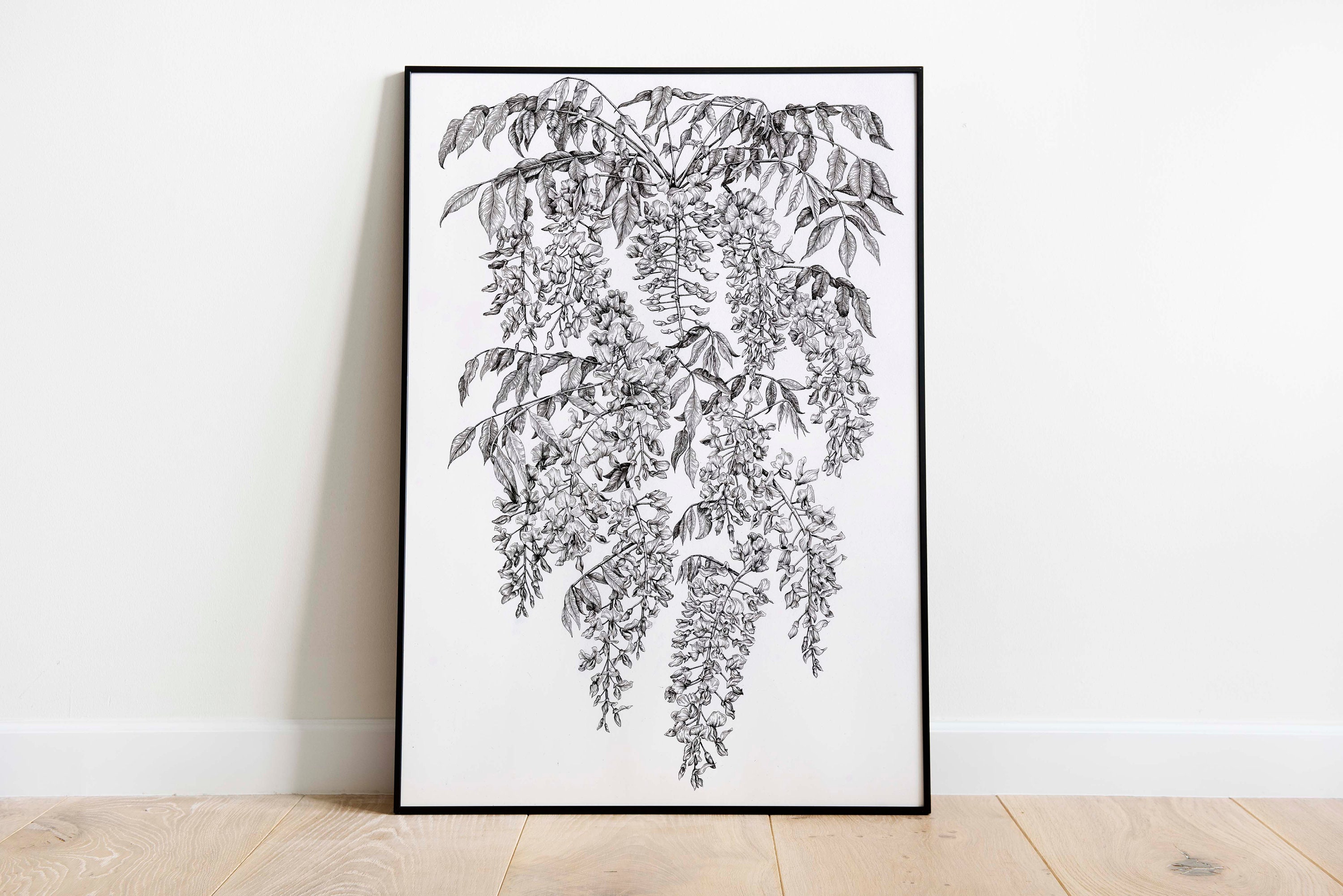 Wisteria Drawing - Etsy