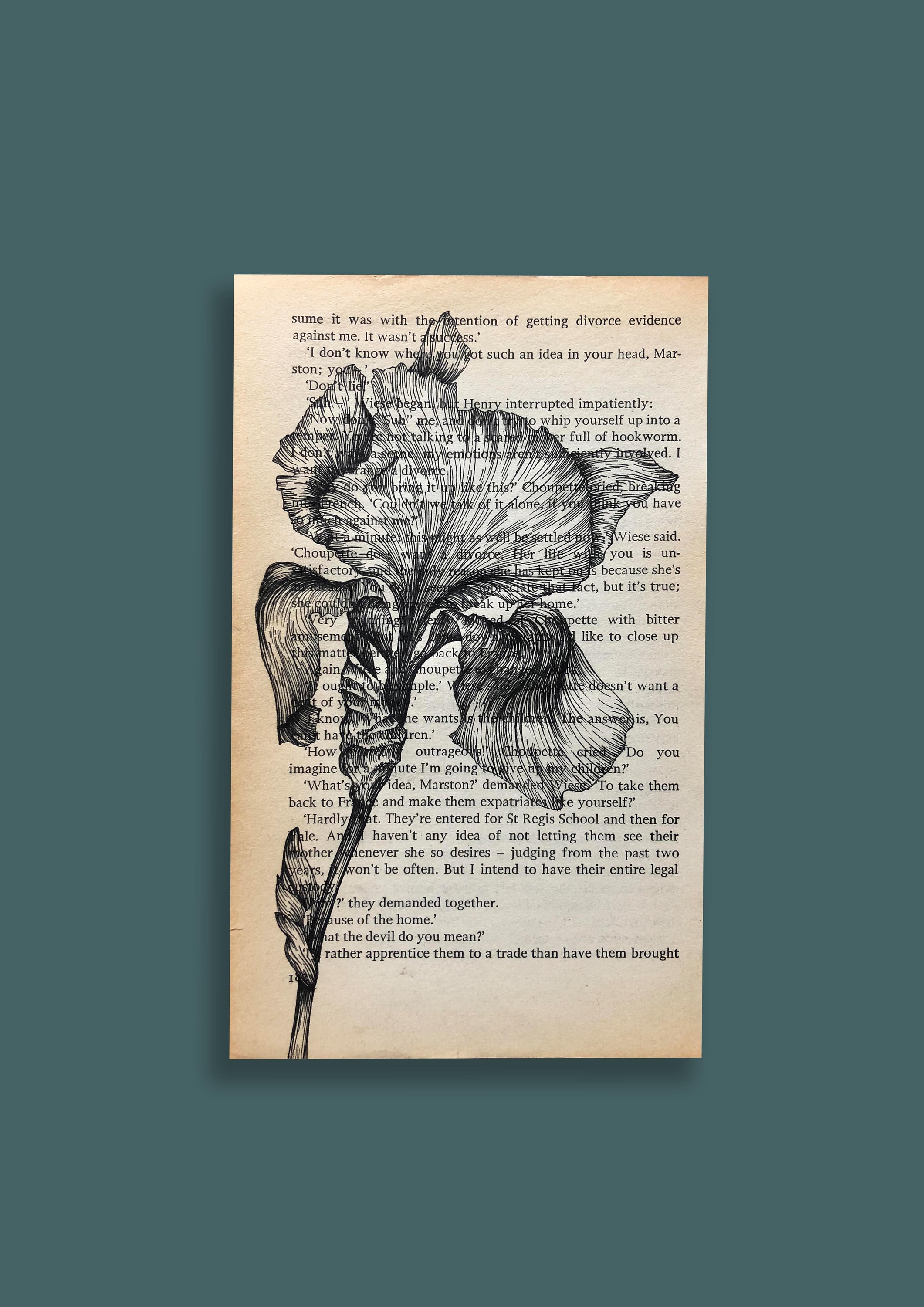 Book Page Drawing, Bits of Paradise by F. Scott & Zelda Fitzgerald