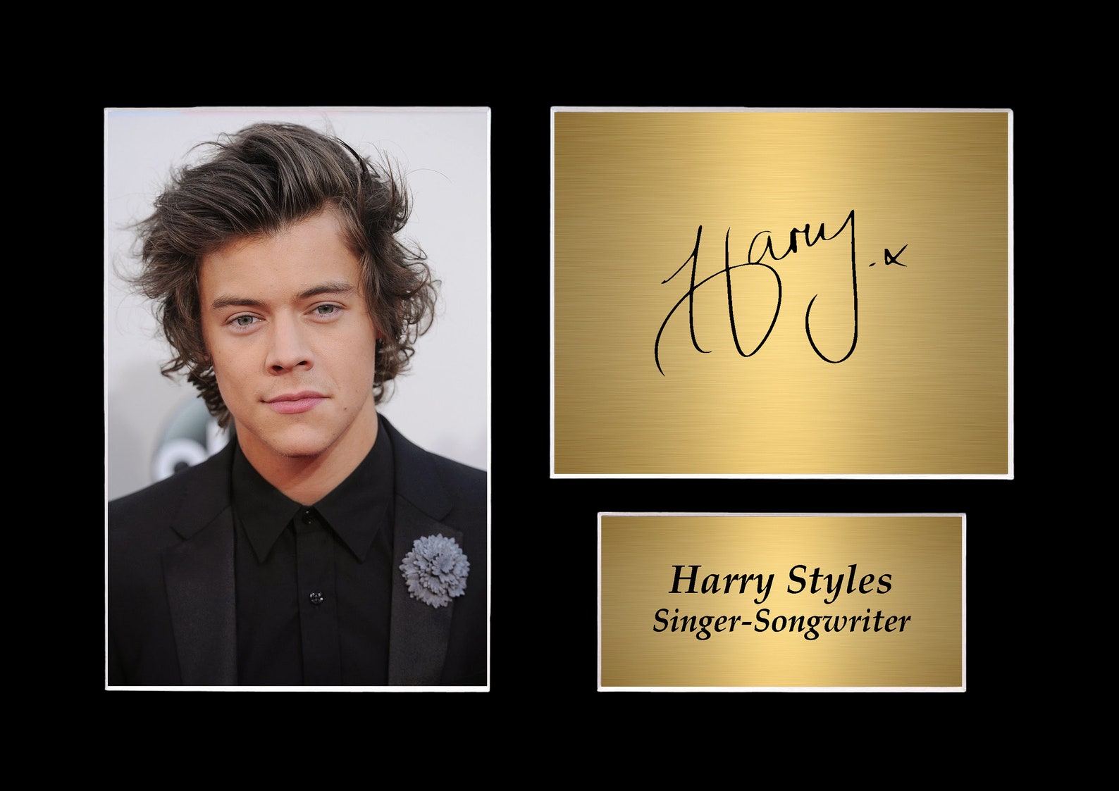 Signed Harry Styles Mount Autograph Print A4 Etsy