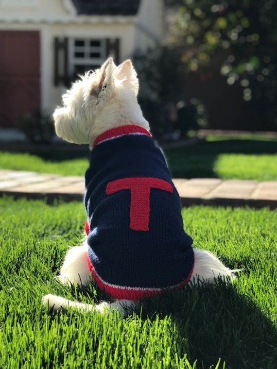 Initial clearance dog jumper
