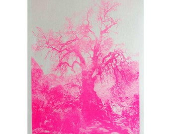 Art Print "Tree Huaraz" neon Risoprint pink Photograph Limited Edition Valentines Day Gift