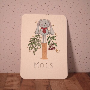 Cartes étapes Bébé - Naissance - Cadeau de naissance - Mr Lapin - Aquarelle unique et originale