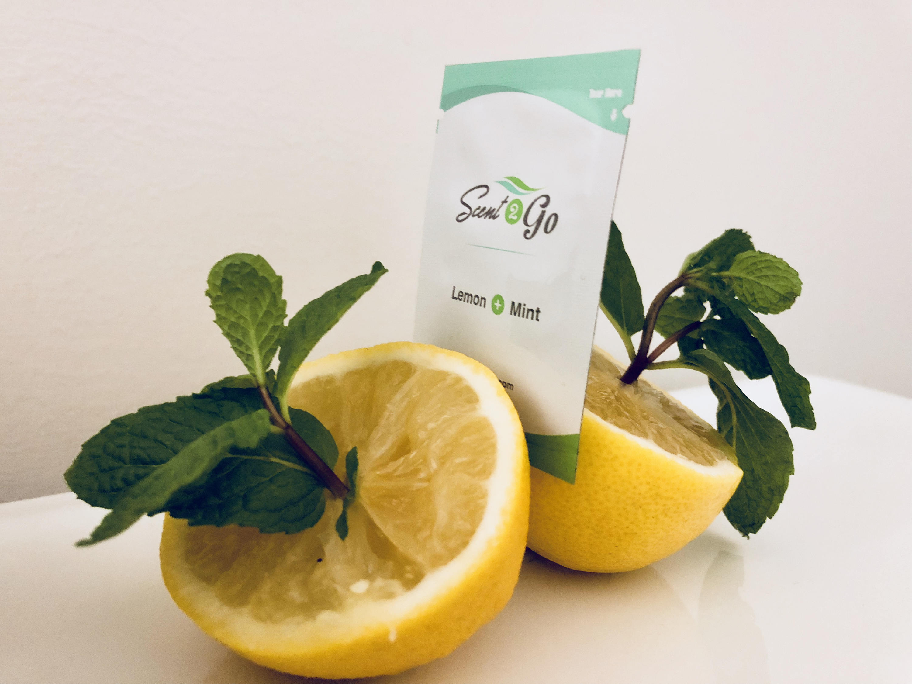 Scent2go Travel Size Bathroom Air Freshener Packets TSA Etsy