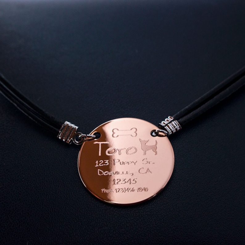 Customized Engraved Dog Necklace Jewelry Dog Name Tag Dog Etsy