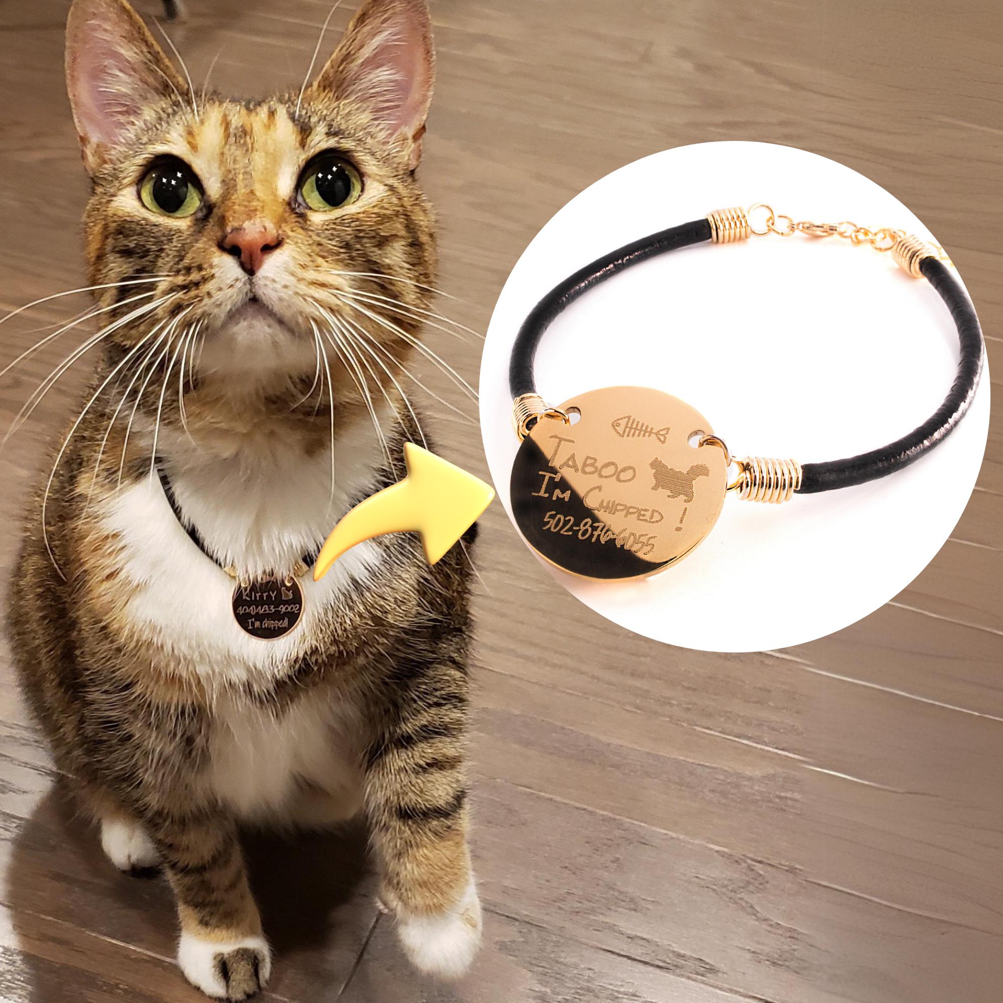 Kitten collar with name hot sale