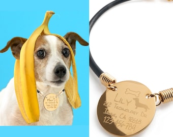 Aangepaste gegraveerde hond ketting naamplaatje ID-tag huisdier ID-tag gepersonaliseerde tag puppy tag cadeau voor huisdier