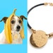 see more listings in the Pet collar section