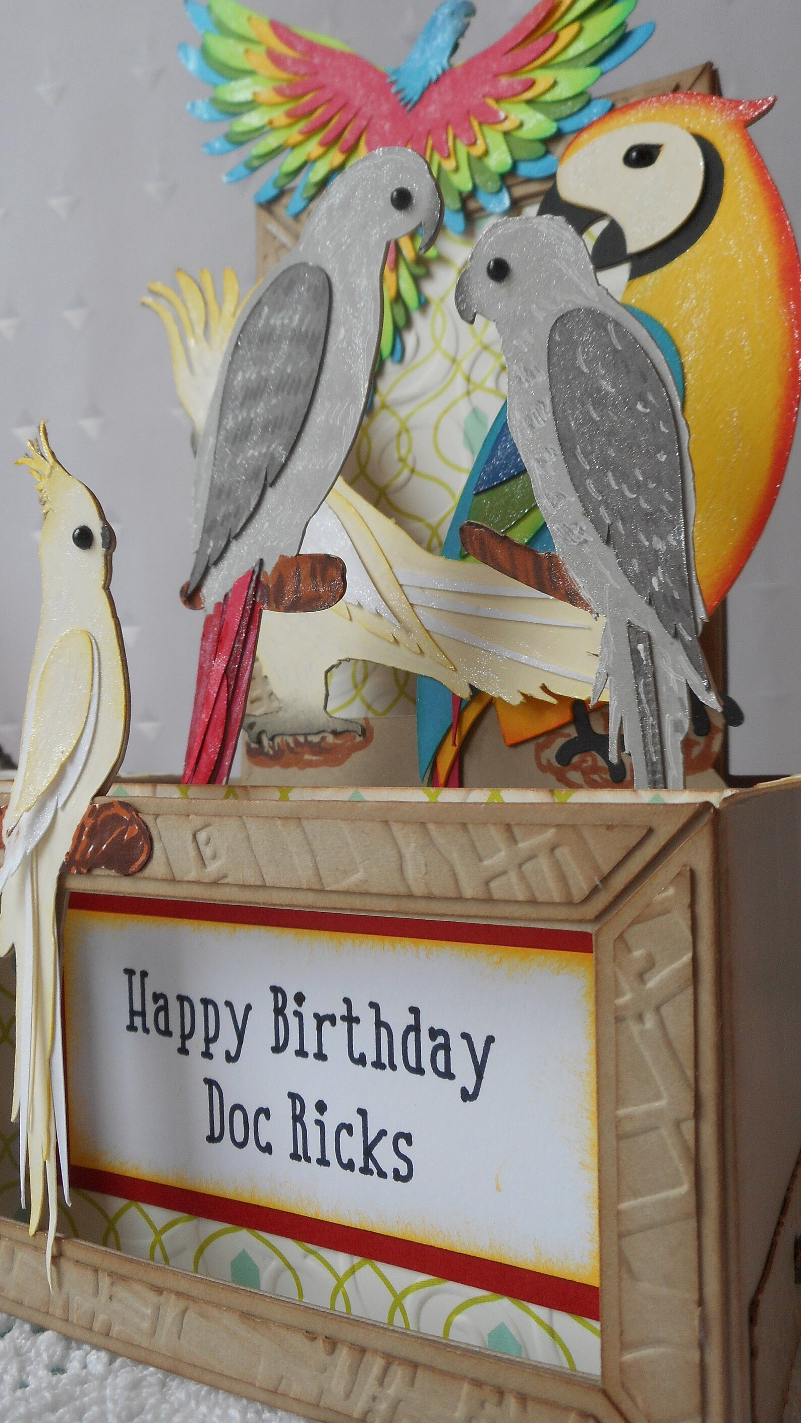 Handmade Parrots Box Card Exotic Parrots PopUp Card African Etsy