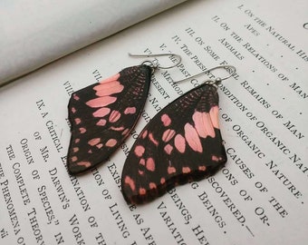 Real Butterfly Wing Earrings | Pink Butterfly | Bridesmaid Gift | Birthday Gift for Friends | Fairy Earrings | Insect | Natural Jewelry