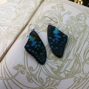 Royal Blue Butterfly | Best Friend Birthday Gift | Real Butterfly Wing Earrings | Magical Fairy Earrings | Fancy Dress Party | Elf Jewelry