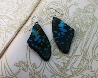 Royal Blue Butterfly | Best Friend Birthday Gift | Real Butterfly Wing Earrings | Magical Fairy Earrings | Fancy Dress Party | Elf Jewelry