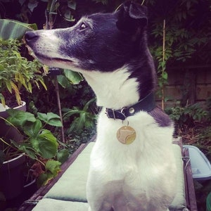 Handmade Lurcher Collar Tag | Greyhound Tag | Whippet Tag | Dog Pendant | Dog Tag | Sighthound Tag | Dog Birthday Gift