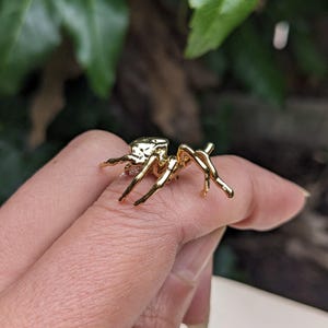 Spider, Spider Jewelry, Spider Necklace, Taxidermy Spider, Spider Jewelry, Spider Necklace, Taxidermy