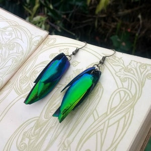 Real Jewel Beetle Wing Earrings and Necklace | Entomology Art | Iridescent Jewel | Ethical Insect Jewelry | Fairy Earrings | Natural Jewelry