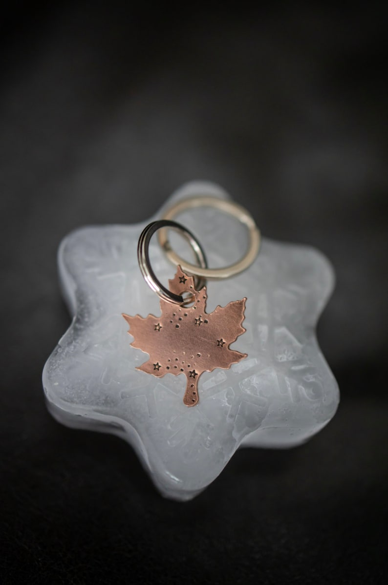 EXCLUSIVE limited time Maple Leaf custom dog ID tag