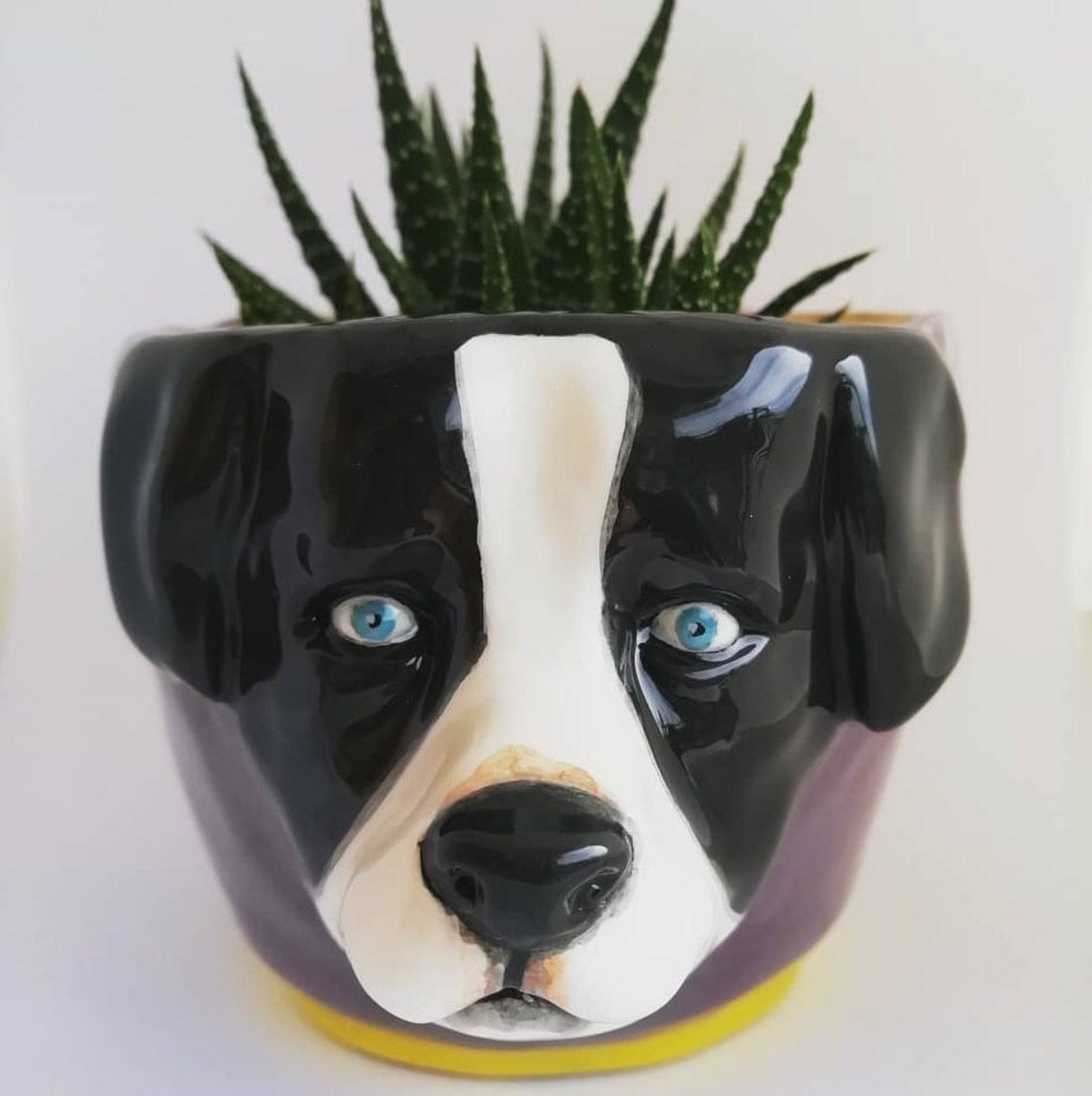 Ceramic vase with dog head animal vase pot for fat plant Etsy