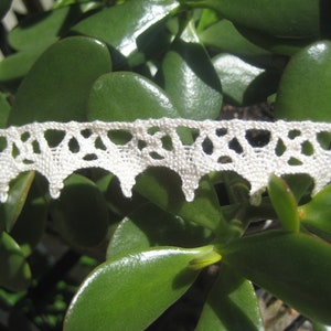 7/8&quot; Vintage Cluny Lace Edging - Off White/Ivory/Natural - Trim - Embellishment Edging sold by the yard.