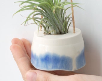 Mini plant hanger for Tillandsia (air plant). Cream with dark blue decor. Minimalist design