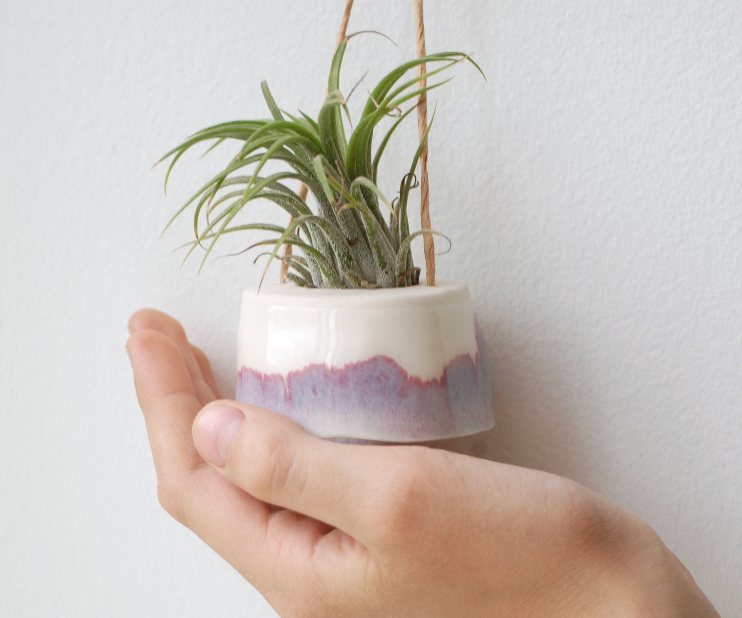 Mini Jardinière Suspendue Pour Tillandsia Plante Aérienne Violet et Crème Décoration Minimaliste Boh