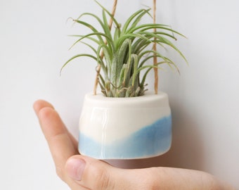 Mini plant hanger for air plant (Tillandsia). Cream with baby blue decor. Minimalist design