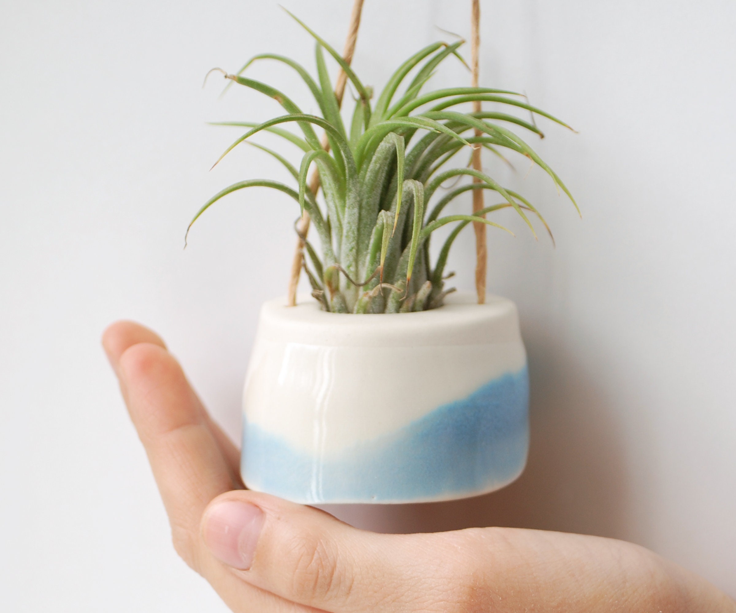 Mini Jardinière Suspendue Pour Plante Aérienne | Tillandsia. Crème et Bleu. Déco Minimaliste