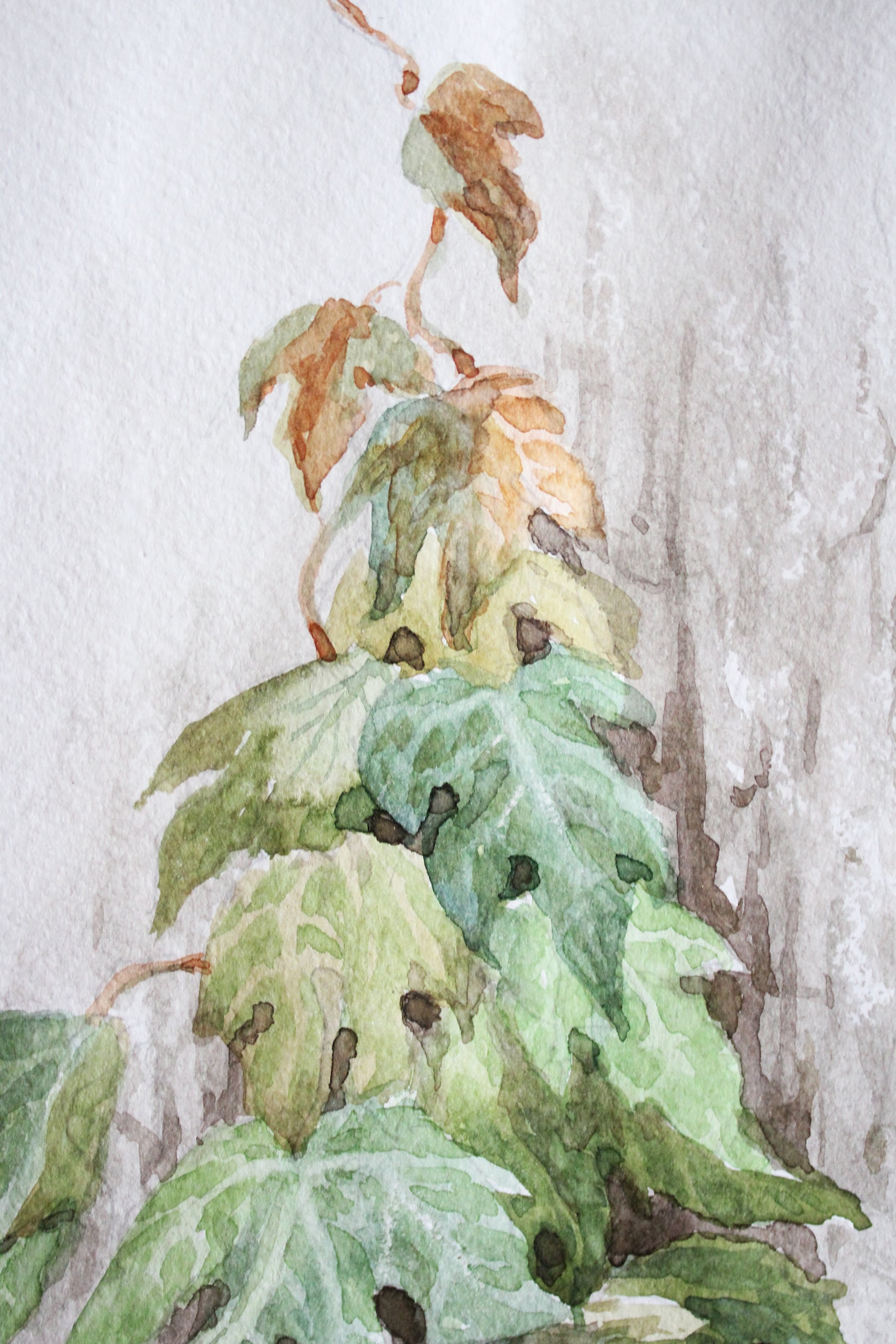 Ivy Painting Botanical watercolor painting original Ivy leaf Etsy