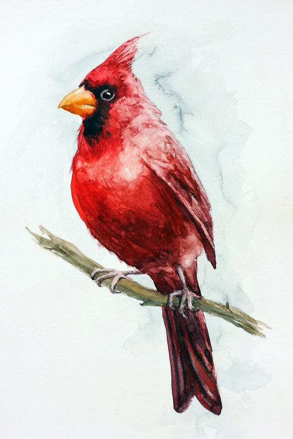 Cardinal Gifts Cardinal Artwork Bird Collector Gifts Flying Red Cardinal Watercolor Print Cardinal Painting Bird Print Paintings Handmade Products Snowrobin Jp