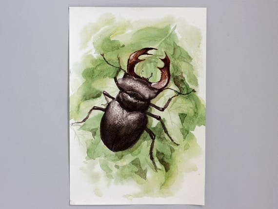 Stag Beetle Watercolor Painting Original Totem Animal Wall Art - Etsy Australia Stag Beetle Watercolor Painting Original Totem Animal Wall Art - Etsy Australia