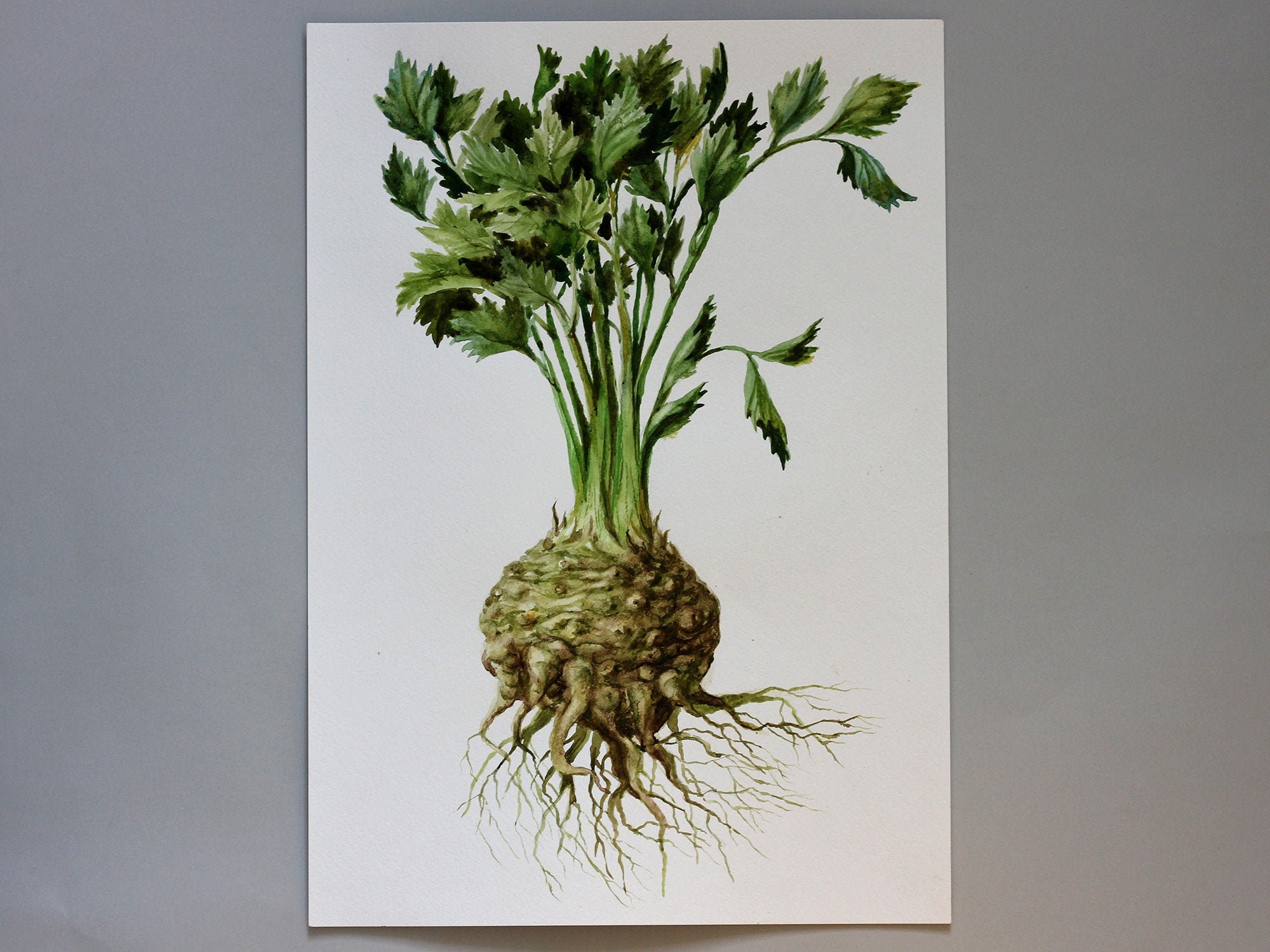 Celery Original Watercolor Painting Large Aquarelle Food Etsy