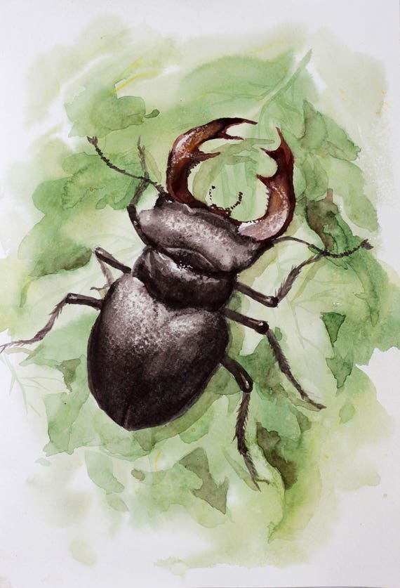 Stag Beetle Watercolor Painting Original Totem Animal Wall Art - Etsy Australia Stag Beetle Watercolor Painting Original Totem Animal Wall Art - Etsy Australia