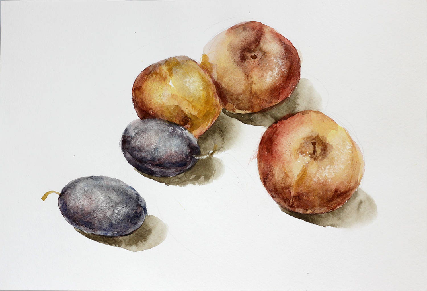 Plums Peaches Watercolor Food Original Painting Watercolours 9 Etsy