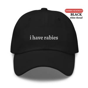 Personalized EMBROIDERED Hat, Custom I Have Rabies Funny Humor Hat, Weird Dark Humor Hat, Unhinged Meme Hat, Sarcastic Gifts for Him or Her