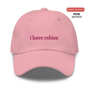 Personalized EMBROIDERED Hat, Custom I Have Rabies Funny Humor Hat, Weird Dark Humor Hat, Unhinged Meme Hat, Sarcastic Gifts for Him or Her