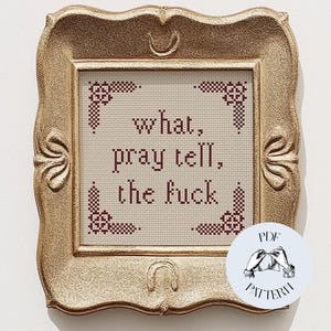 What, Pray Tell, The F*ck - Modern Sampler Funny Cross Stitch Pattern, Digital PDF, Subversive, Snarky, Simple