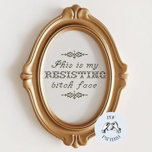 This is My Resisting B*tch Face - Modern Sampler Funny Cross Stitch Pattern, Digital PDF, Subversive, Snarky, Simple