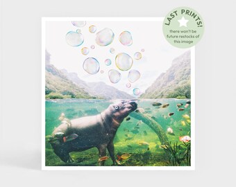 Art Print: Bubbling • Hippo Underwater Lake Wall Decor • Christmas Gift • 20 x 20 cm / 7.9 x 7.9 inches
