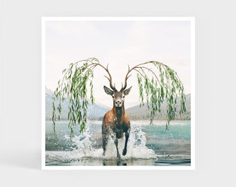 Art Print: Willow Deer • Stag Tree Lake Wall Decor • Christmas Gift • 20 x 20 cm / 7.9 x 7.9 inches