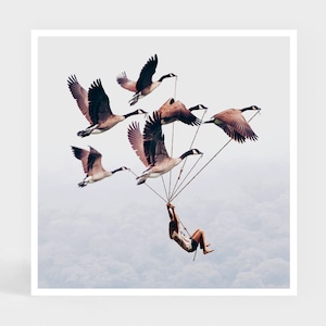 Kunstdruck: Wilder Ritt • Gänse Gänse Schwarm Fliegen Wanddekoration • Nettes Geschenk