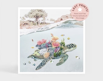 Art Print: Coral Turtle • Reef Ocean Wall Decor • Cute Gift