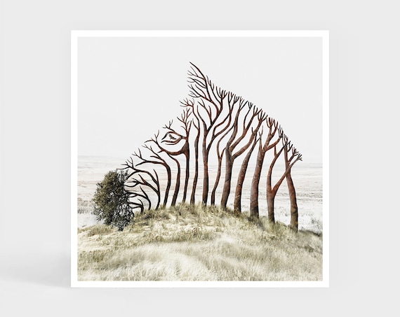 Art Print: Zebra Tree • Optical Illusion Wall Decor • Cute