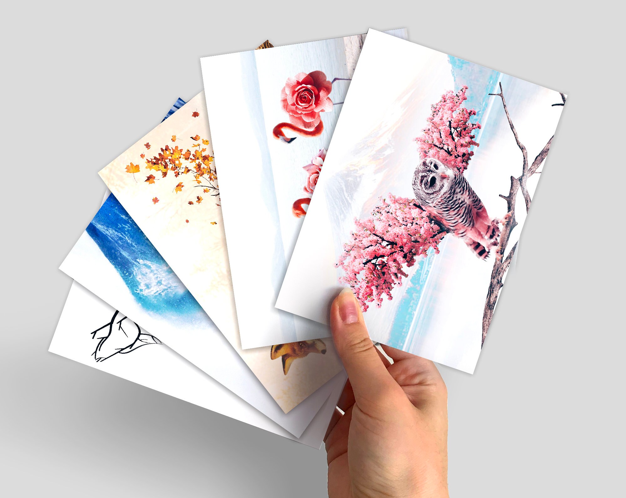 Dream World Poscard Set • 5 Horizontal Postcards • Cute A6