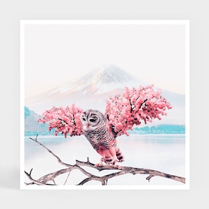 Art Print: Sakura Owl • Pink Flowers Wall Decor • Cute Gift