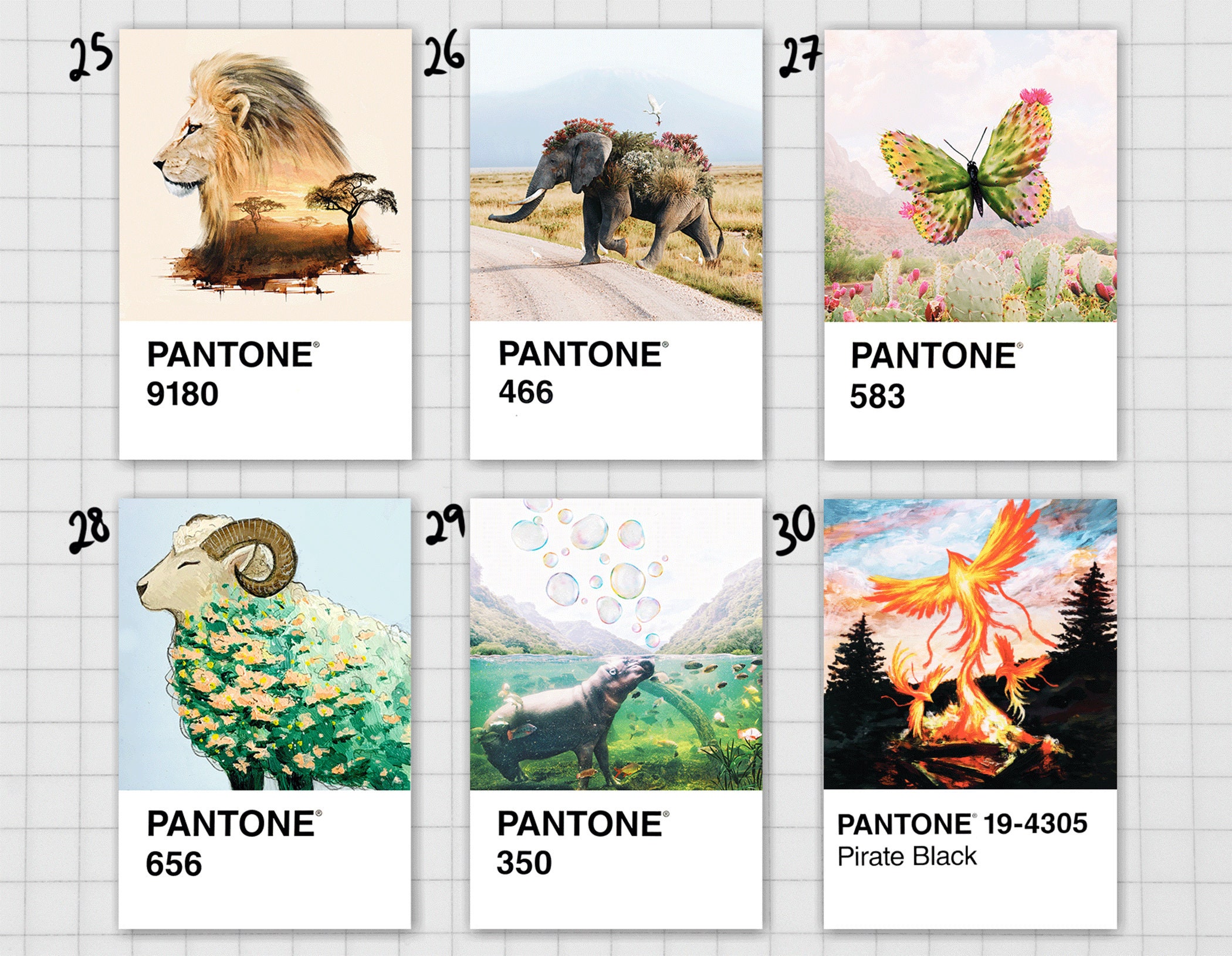 pantone cards collage｜TikTok Search