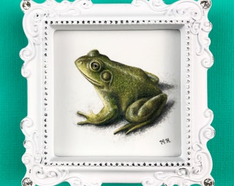 Frog original colored pencil drawing in a white frame