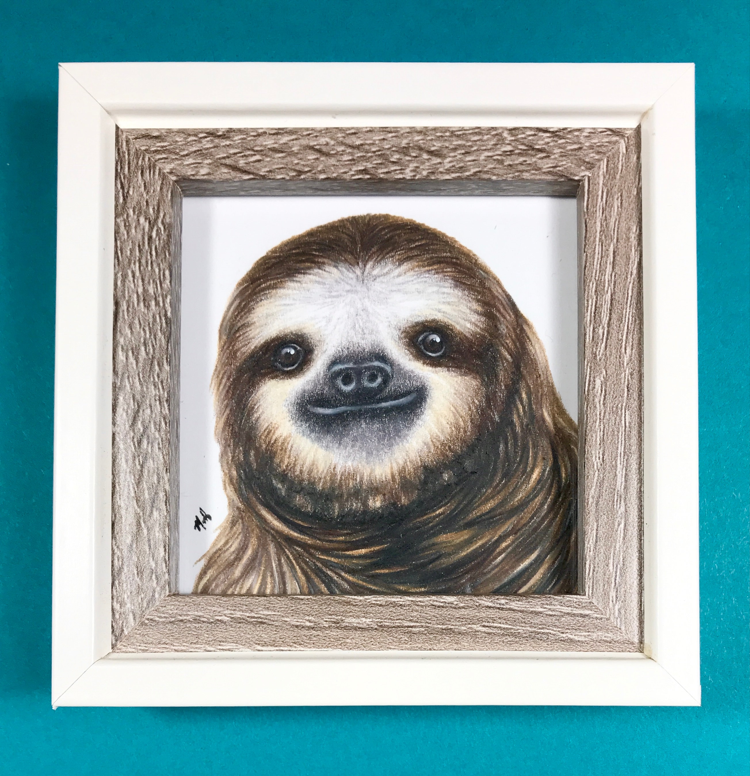 Sloth original colored pencil drawing in a cream colored and | Etsy