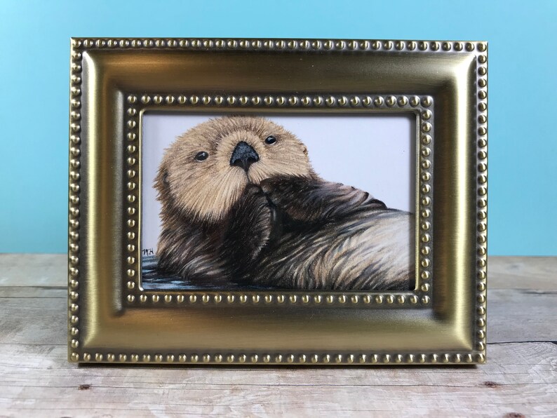 Sea Otter Drawing In A Gold Frame